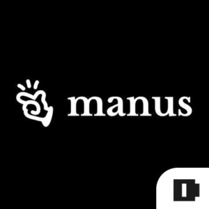 Manus Pro – 1 Year – Account Activation Service